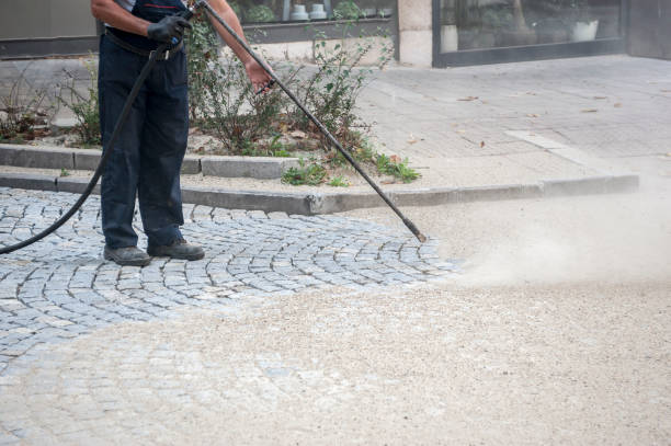 Animal Enclosure Cleaning in Arlington, TX